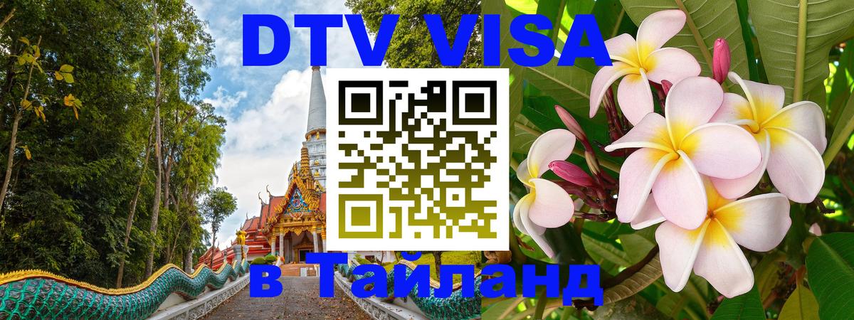 Сколько стоит DTV виза — актуальные цены, оформление даже без документов - 